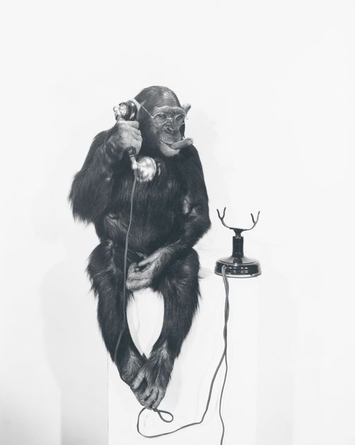 Ace the Telephone Interview